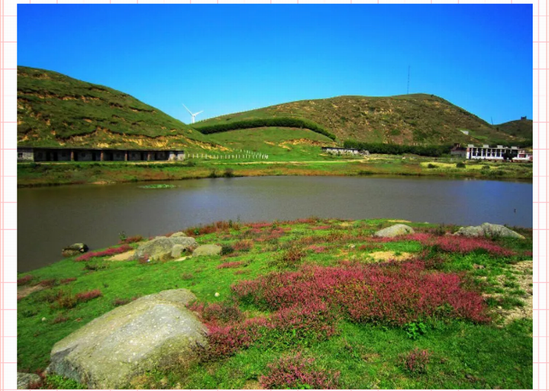 【心靈自駕】‖我不是“藥神”‖但是我這可以安放你那放蕩不羈的心。_門(mén)票預(yù)訂